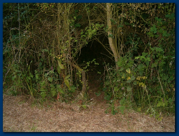 600x449 pixels (192K)